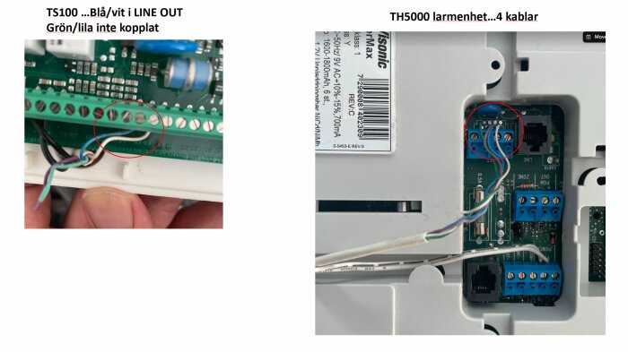 Bild av kablage: Den vänstra halvan visar kablar kopplade på TS100; blå/vit i LINE OUT, grön/lila inte kopplad. Den högra visar fyra kablar på TH5000.