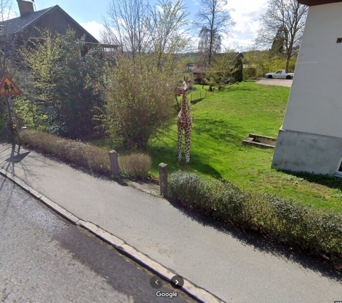 En stor giraffstaty står i trädgården framför ett hus nära en väg i ett bostadsområde.