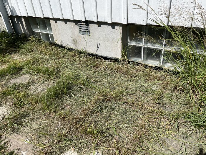 Stenplattor invid en vit husvägg med gräs som växer över plattorna. Marken lutar mot huset och två källarfönster är synliga.