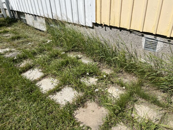 Stenplattor med gräs mellan springorna ligger nära husets vägg. Plattorna lutar mot huset. Husets fasad är vit och gul med ventiler synliga.