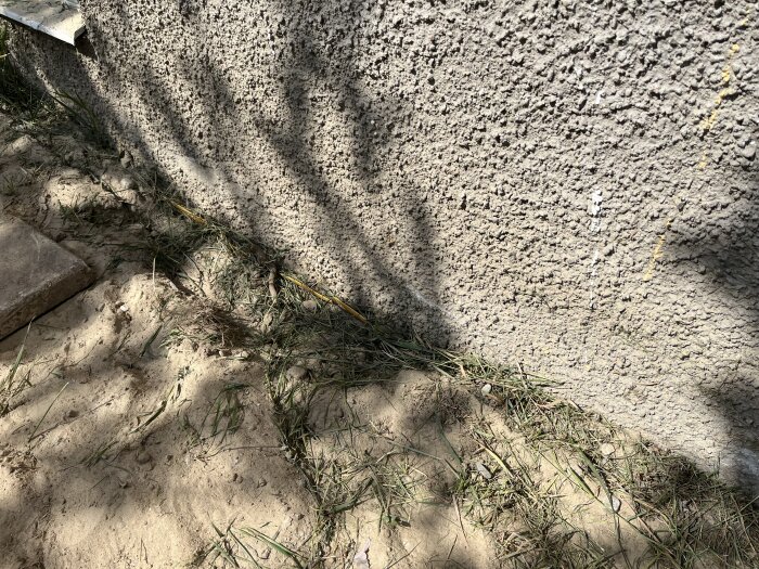 Närbild av grundvägg med gul och svart dräneringsplast vid marknivå, omgiven av sand och något gräs.