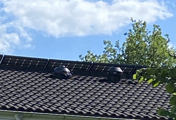 Tak med solpaneler och två ventilationstrummor, omgiven av träd under en klarblå himmel med några moln.