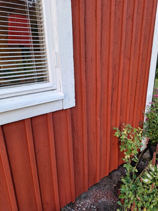 Nyss målad röd fasad med vit fönsterkarm intill ett fönster.