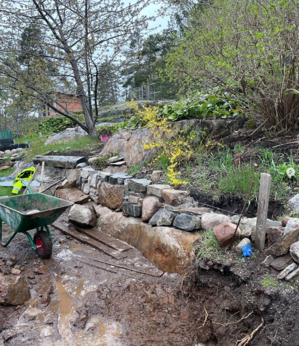 En halvmurad stenmur med armeringsjärn och bruk framför en lerig yta med skottkärra och verktyg, omgiven av träd och buskar i en trädgårdsmiljö.