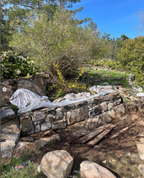 En delvis färdig stenmur med stora grundstenar på en gjyttjig yta framför en grönskande buske och skog, täckt med plast för att skydda bruket.