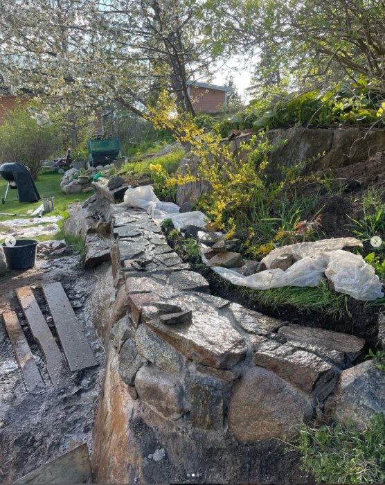 Stenmur under konstruktion i trädgård, med stora stenar inbäddade i bruk, växter runt muren och träd i bakgrunden. Byggutrustning spridd i närheten.