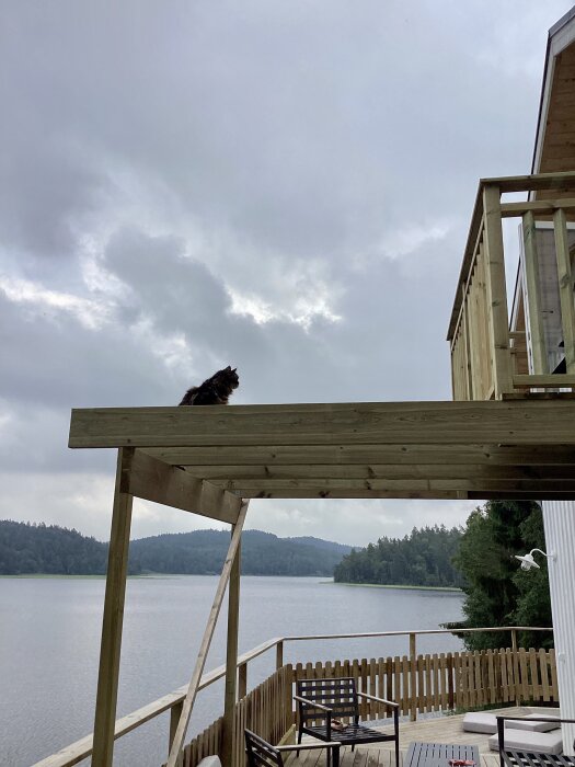 Katt ligger avslappnat på en bjälke ovanför en balkong med utsikt över en sjö och skog i bakgrunden, på en molnig dag.