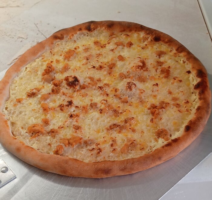 Stekt pizza med välsmord ost och bitar av kyckling på en rund pizzadeg.