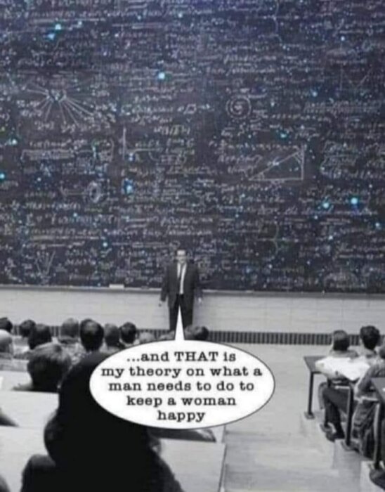 En man står framför en svart tavla fylld med matematiska ekvationer och pratar till en klass. Talbubblan säger "...and THAT is my theory on what a man needs to do to keep a woman happy.