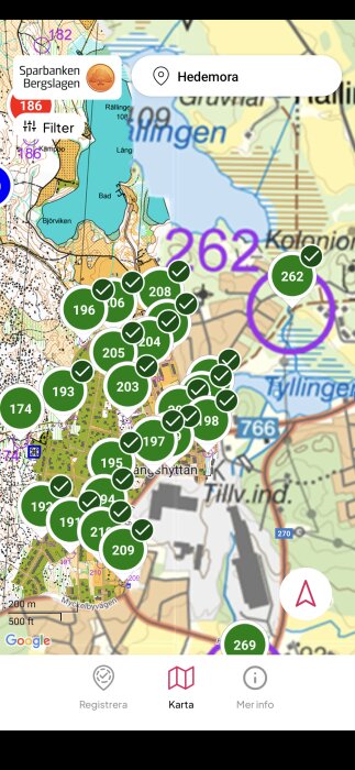 Karta över Hedemora med gröna markörer numrerade 174–210 samt 262, en markör för Sparbanken Bergslagen, filterknapp, Google Maps-logga och bottenmeny.