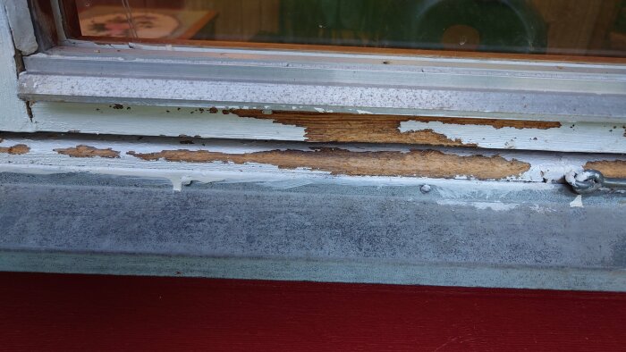 Skadad fönsterkarm med avskavd färg och synlig träyta på en sommarstuga, med spekulationer om att getingar kan ha orsakat problemen.