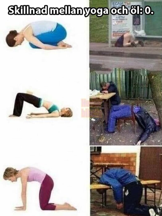 Jämförelsebild som visar yogapositioner jämte personer som ser ut att sova eller ha svimmat, med texten "Skillnad mellan yoga och öl: 0.