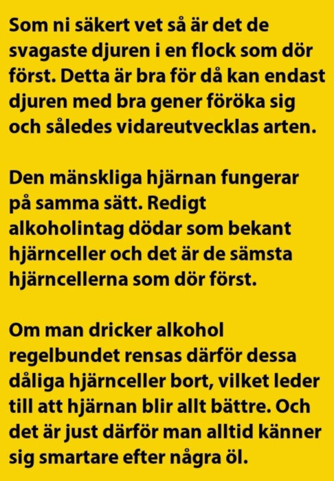 Gul bild med svart text som diskuterar att alkoholintag dödar dåliga hjärnceller först, vilket skulle leda till att hjärnan fungerar bättre.