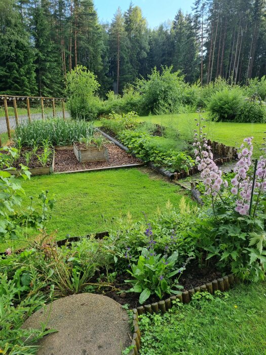 Trädgård med olika växtbäddar fyllda med grönsaker, blommor och grönska, omgiven av en välskött gräsmatta och skog i bakgrunden.