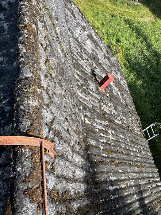 Gammalt tak med betongpannor, delvis täckt med mossa, där en rostig takstege hänger längs nocken. En röd ventilationshuv syns på taket. Gräsmatta i bakgrunden.