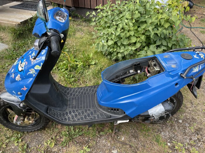 En blå scooter med en borttagen bränsletank står parkerad på en gräsmatta. Scootern är dekorerad med klistermärken och omgiven av växtlighet i bakgrunden.