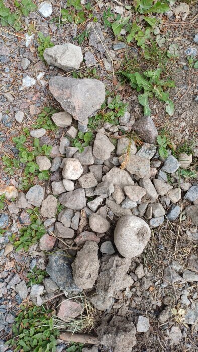 Ansamling av stenar i varierande storlekar, från småsten till större stenar, samt ogräs och jord på en uppgrävd yta i en trädgård.