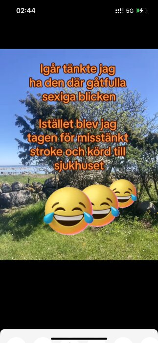 Bildtext på svenska med skämt om missförstånd under ett försök att vara sexig på en gräsmatta vid havet, inklusive gråtande skrattande emojis över gräset.