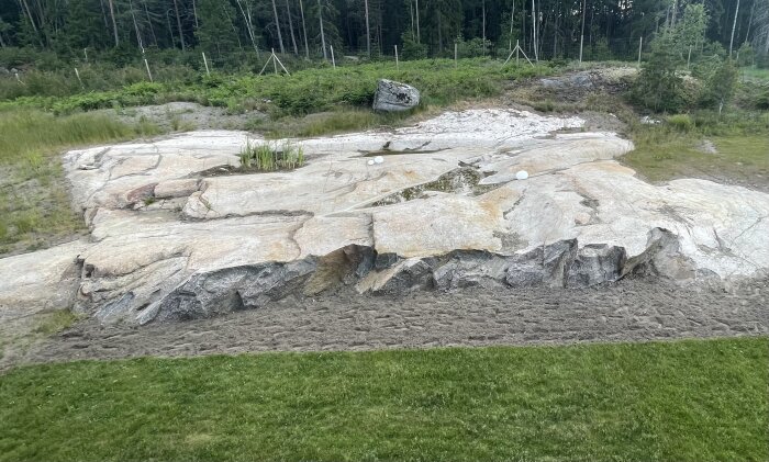 En stenig yta på ett berg med en stor grop fylld med vatten och några växter. Grönska och träd syns i bakgrunden.