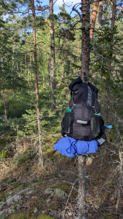 Svart ryggsäck hänger på en trädgren i en skog med tallar och tät vegetation, med en blå tröja fastkilad under.