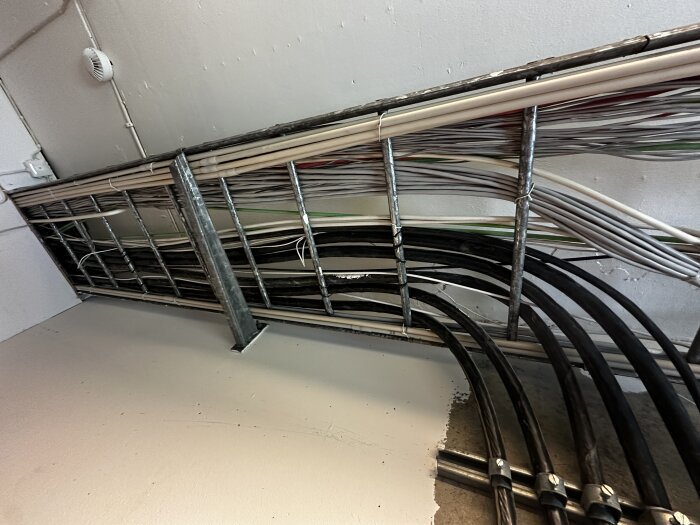 Flera kablar och ledningar fastsatta på betongvägg och tak i ett förråd, vissa kablar inneslutna i metallramar.