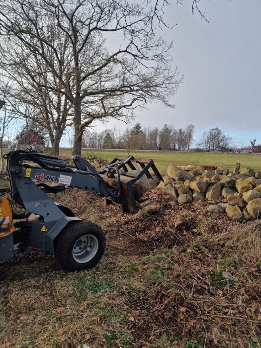 En lastmaskin används för att flytta stenar vid en stenmur på en gård, omgivningen är lantligt med träd och ett avlägset trähus i bakgrunden.