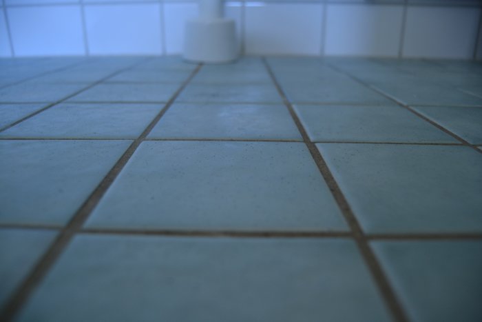 DSC_0697.jpg