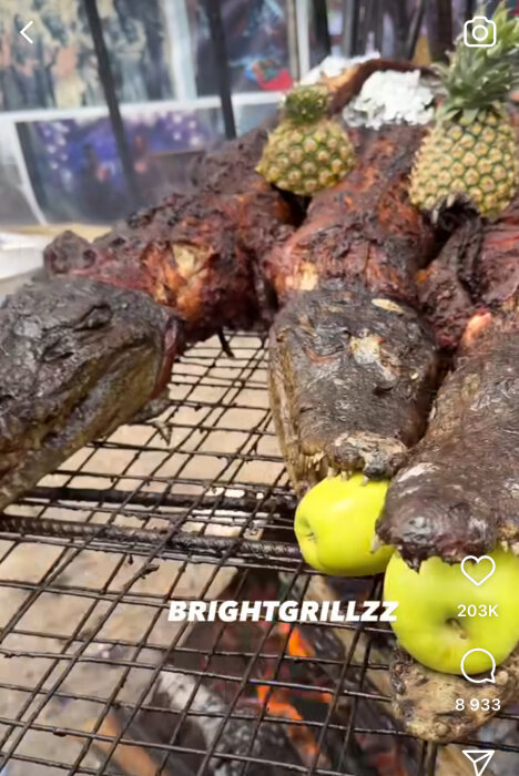 Två grillade hela krokodiler med äpplen i munnen, placerade på ett grillgaller.