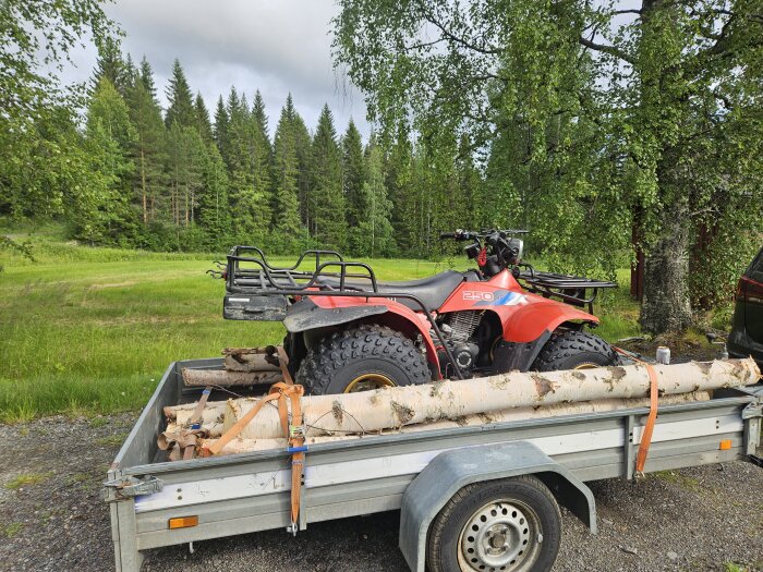 Röd fyrhjuling och avsågade björkstammar på ett släp framför en skogsmiljö.