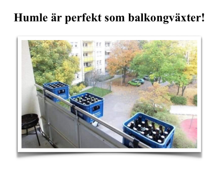 Tre blå backar med ölflaskor står på en balkong med utsikt över ett bostadsområde med höstfärgade träd. Texten ovan lyder: "Humle är perfekt som balkongväxter!".