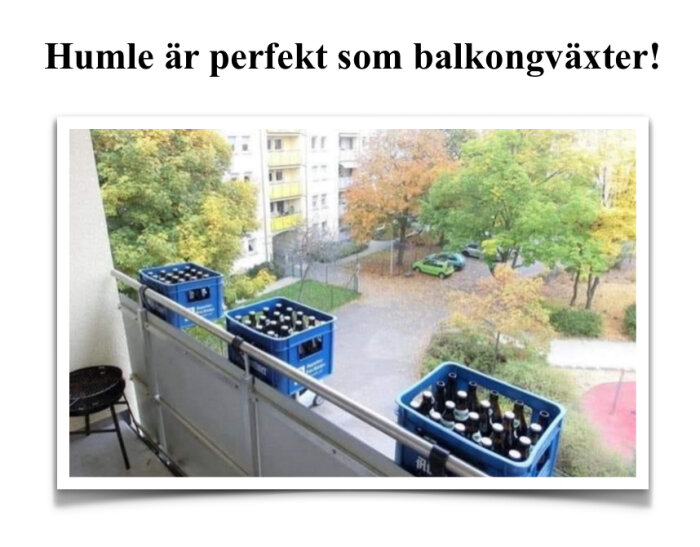 Balkong med utfyllnad av blå ölbackar fyllda med flaskor, utsikt över innergård med träd och flerbostadshus i bakgrunden, text "Humle är perfekt som balkongväxter!".