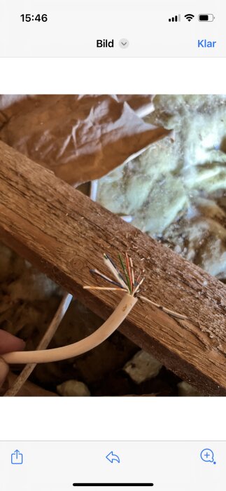Skadad kabel på vinden med blottade ledningar, placerad mot en träbjälke. Bakgrunden visar isoleringsmaterial.