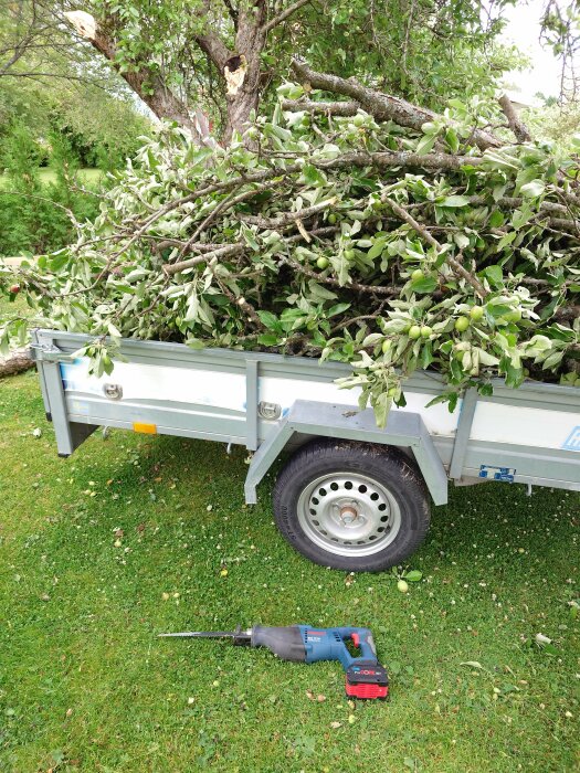 Brutna grenar från ett äppelträd ligger på en släpvagn framför det stormskadade trädet. En tigersåg ligger på marken bredvid släpets däck.