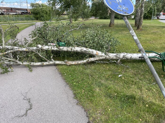 Nedfallen trädstam blockerar cykelbana i en park, intill en lutande cykelbanskylt, med en motorsåg placerad ovanpå trädet.