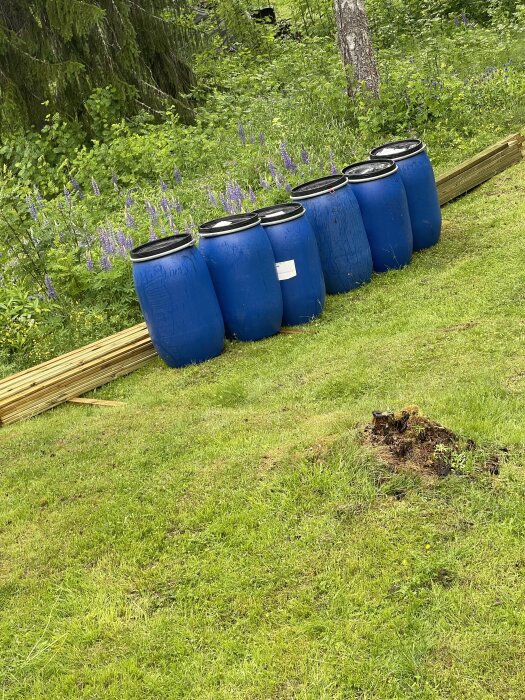 Blå plasttunnor i gräset framför en hög med plankor, omgivna av träd och blommor. Tunnorna ska användas för att bygga en flytbrygga.