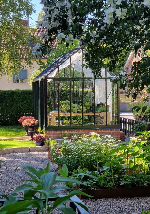 Växthus med glasväggar och tegelgrund omgiven av välskötta trädgårdsbäddar i cortenstål, med frodiga gröna växter och vita blommor i förgrunden.