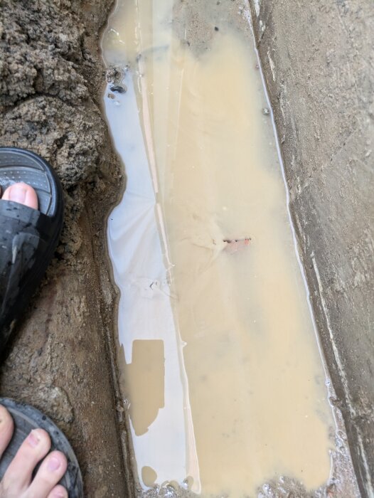 Tegelrör i en utgrävd och vattenfylld skyttegrav, delvis täckt av brunt vatten. Ett par fötter iförda svarta sandaler syns vid kanten.