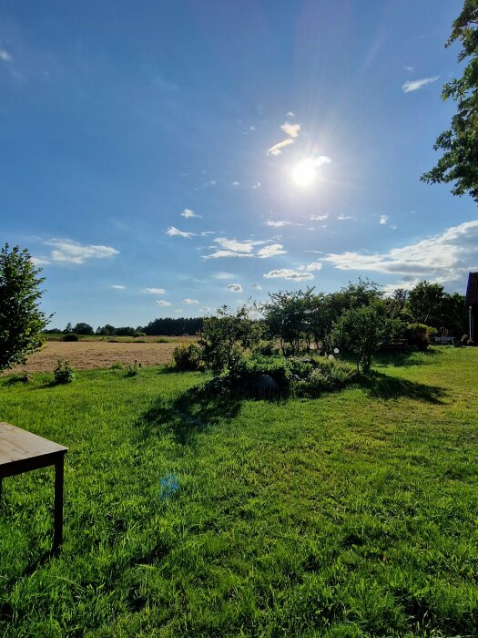 Solig sommardag med grön gräsmatta, träd och buskar, blå himmel och en tomt i bakgrunden. Ett bord är synligt till vänster i bilden.