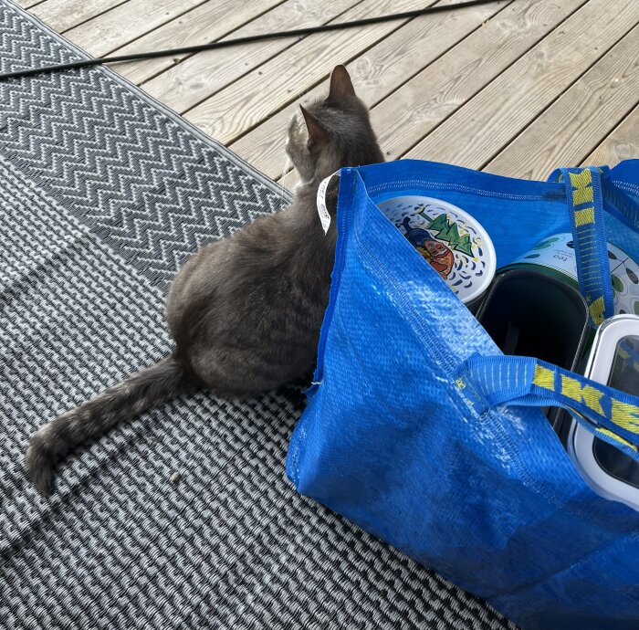 En grå katt sitter på en matta bredvid en blå IKEA-kasse fylld med olika föremål på en altan.