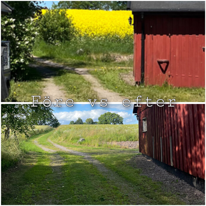 Före och efter jämförelse av en väg vid en röd byggnad. Före: smal, övervuxen med gräs och buskar. Efter: bredare, rensad och klippt gräsyta.