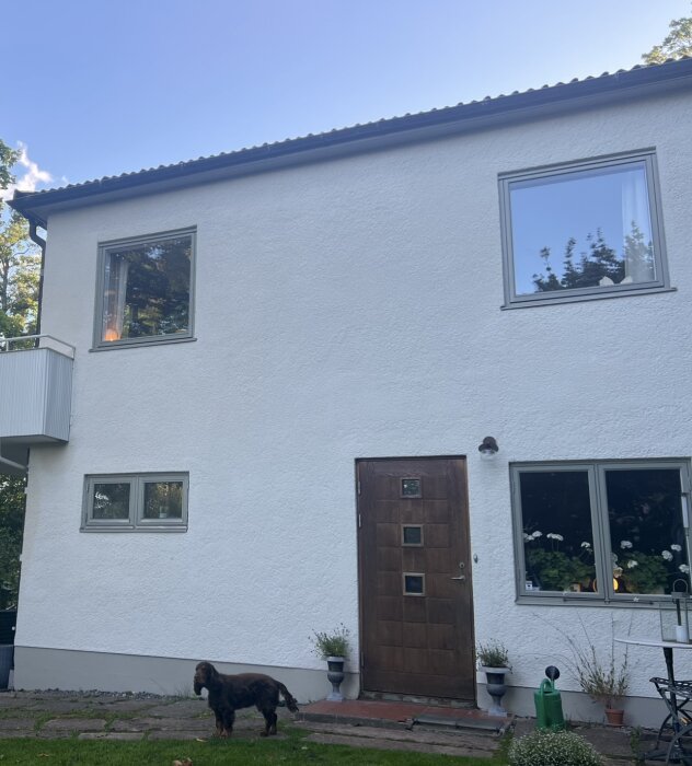 Tvåvåningshus med vit fasad i direkt sol, trätrappa vid entrédörr, två fönster på övervåning och två på undervåning, samt en hund i trädgården.