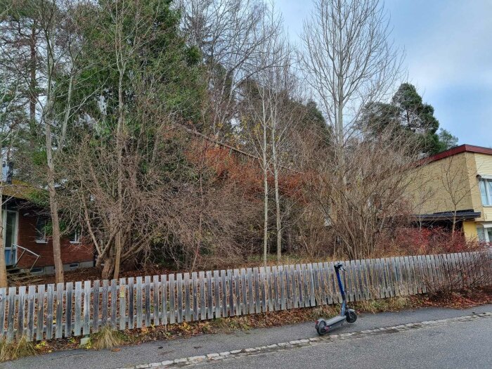 Vildvuxen tomt med träd, buskar och ett grått staket längst fram. I förgrunden står en elsparkcykel på trottoaren.