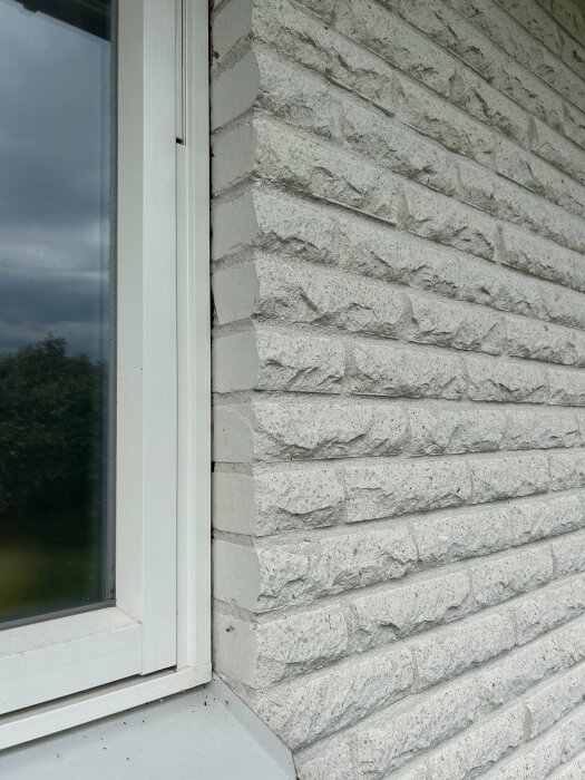 Närbild av husvägg med NCS-färgkod 0502-Y och fönsterram i matchande vitt, visar texturerad mursten och träram med utsikt mot trädgård.