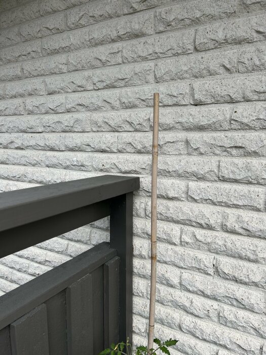 Vitt tegelhus med mörkgrått staket och plankmålat i NCS 8502-Y. Husgrunden är mörkare grå och målad med NCS 7502-Y. En bambupinne står mot väggen.