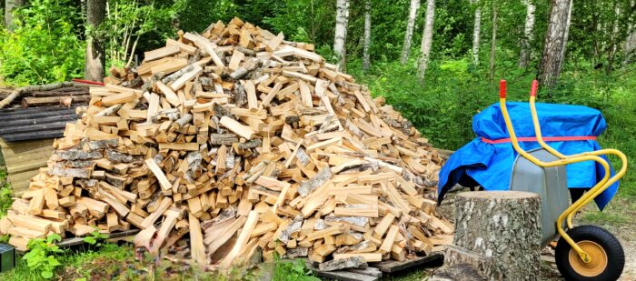 Stor hög med kluven ved ligger på tork bredvid en skottkärra täckt med en blå pressenning i en skogsdunge.