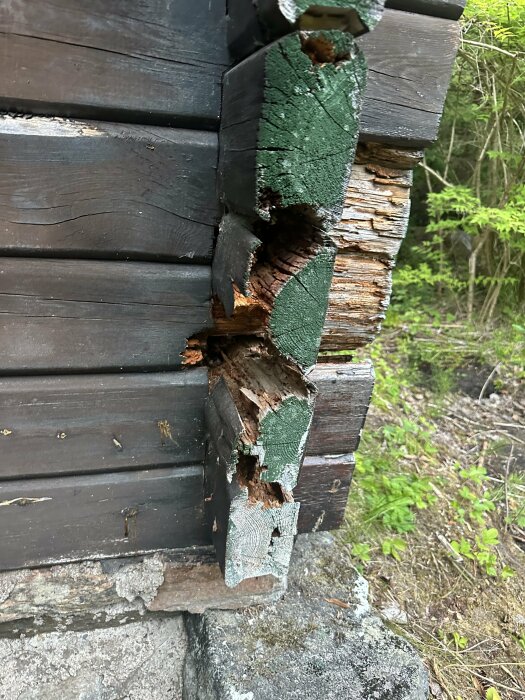 Ruttna stockar på gaveln av ett fritidshus, synligt nära hörnet där flera stockar är skadade. Övriga fasaden och omgivande vegetation är synlig.