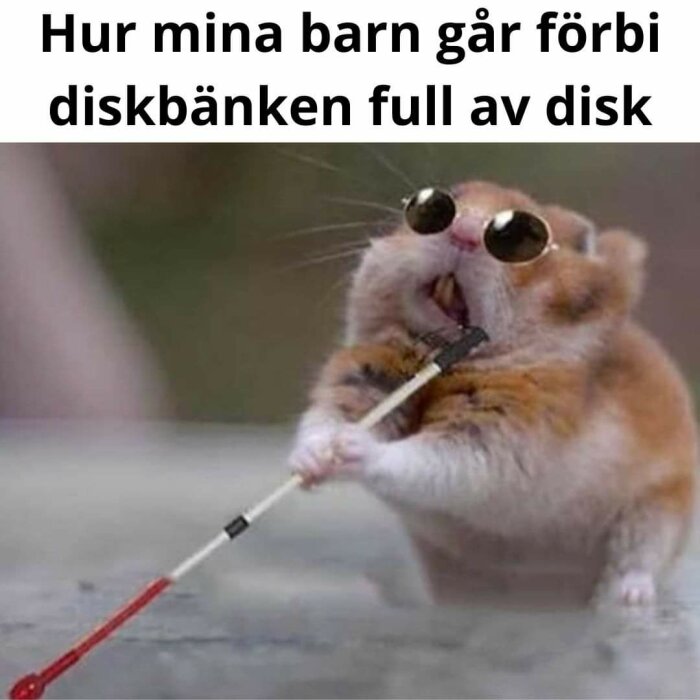 En hamster med solglasögon håller en vit käpp. Text ovanför bilden lyder: "Hur mina barn går förbi diskbänken full av disk".