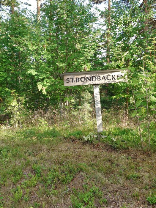 Skylt med texten "ST.BONDBACKEN" står i ett skogsområde omgivet av gröna träd och växtlighet.