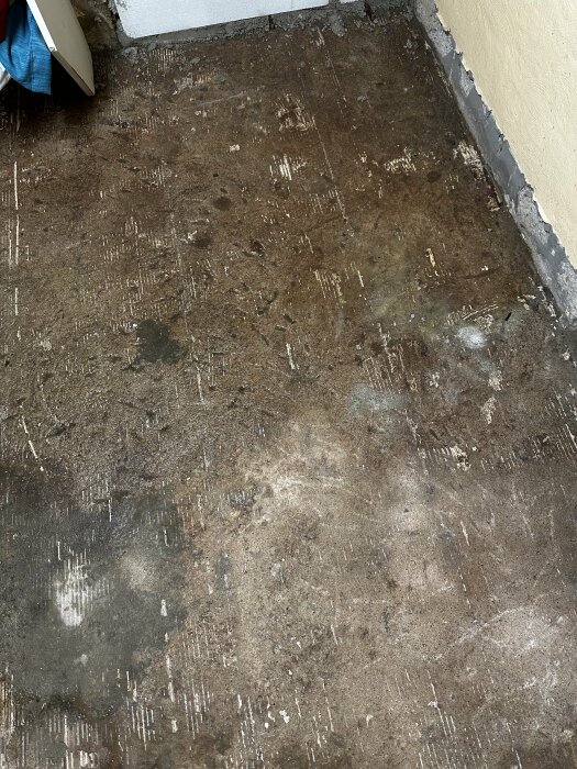 Bild av ett källargolv med flera mörka, fuktiga fläckar och tecken på mögel eller vatteninträngning nära väggen.