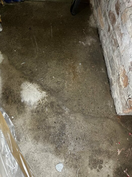 Fuktiga fläckar och vattenansamlingar på betonggolv i källare med sprucken murvägg.